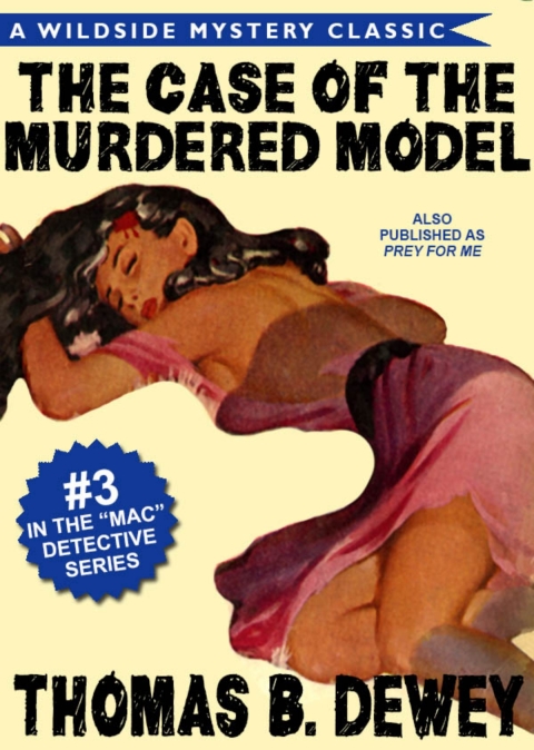 Cover image for book The Case of the Murdered Model