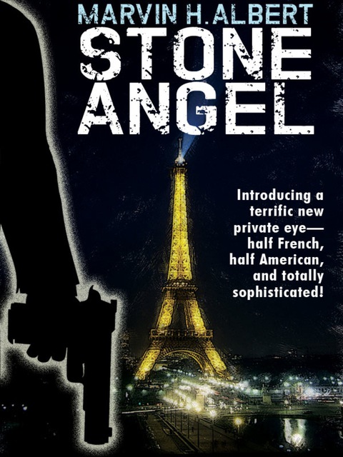 Cover image for book Stone Angel