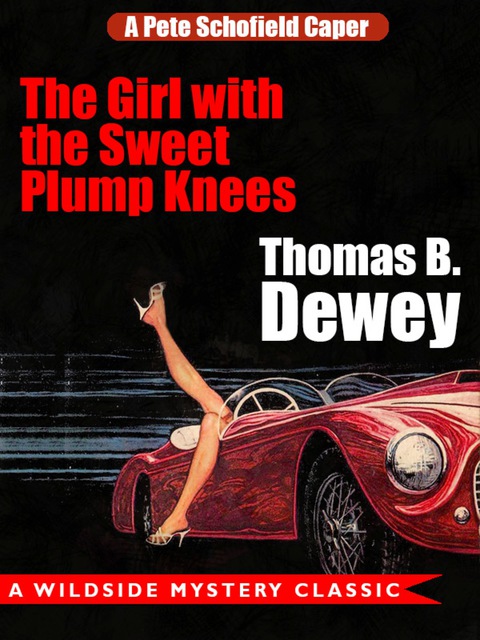 Cover image for book The Girl with the Sweet Plump Knees: A Pete Schofield Caper