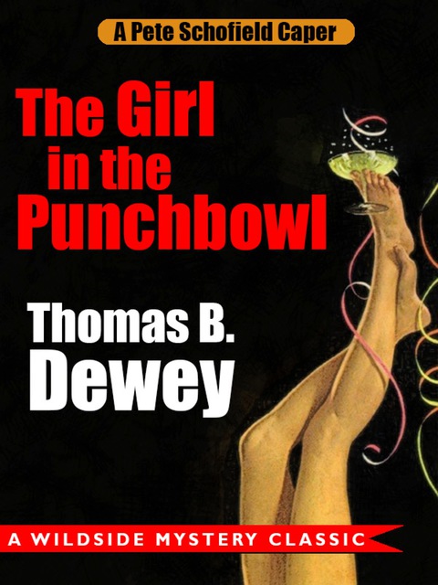 Cover image for book The Girl in the Punchbowl: A Pete Schofield Caper