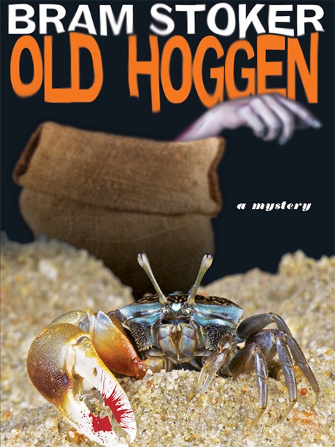 Cover image for book Old Hoggen: A Mystery