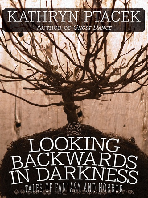 Cover image for book Looking Backward in Darkness