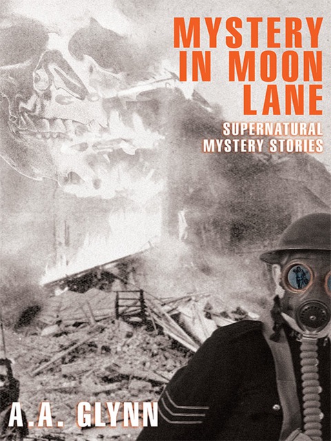 Cover image for book Mystery in Moon Lane