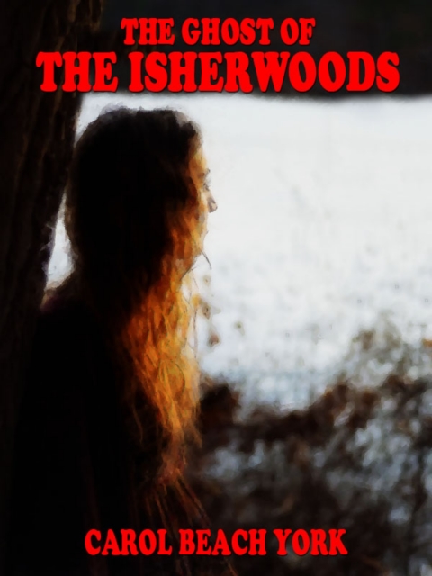 Cover image for book The Ghost of the Isherwoods