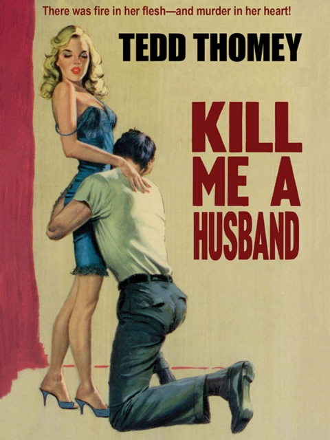 Cover image for book Kill Me a Husband