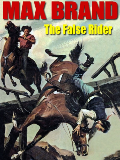 Cover image for book The False Rider