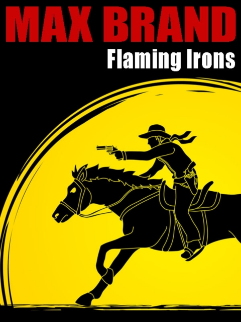 Cover image for book Flaming Irons
