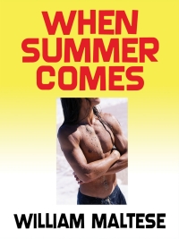 Cover image: When Summer Comes