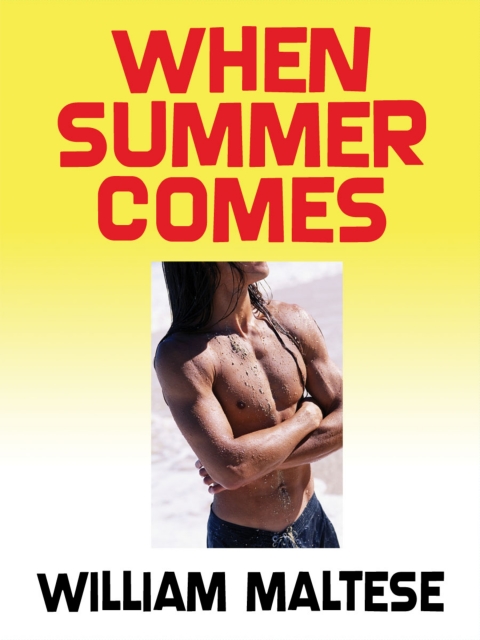 Cover image for book When Summer Comes