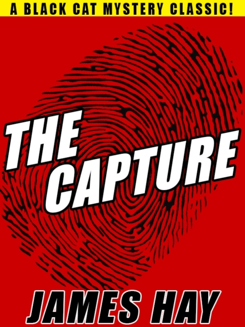 Cover image for book The Capture