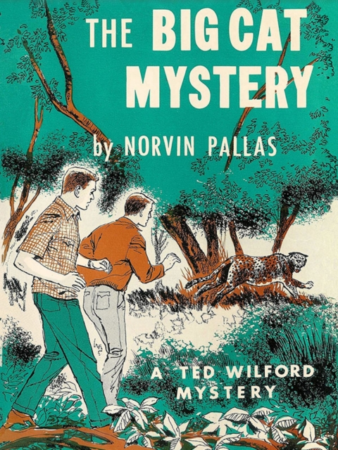 Cover image for book The Big Cat Mystery