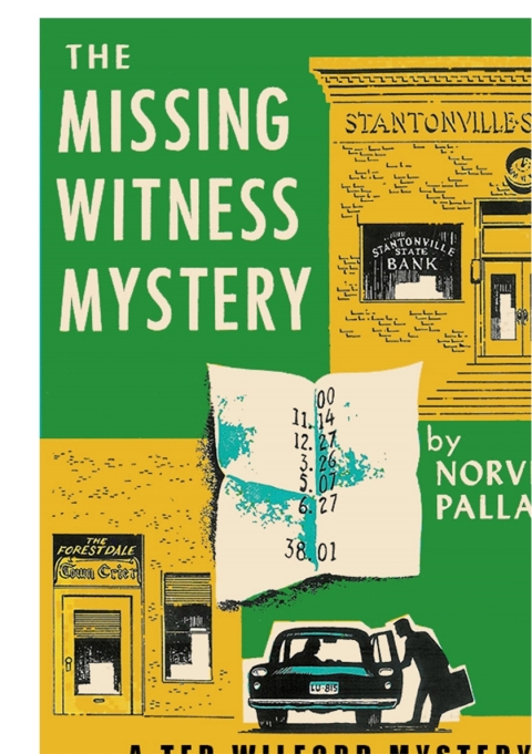 Cover image for book The Missing Witness Mystery