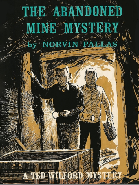 Cover image for book The Abandoned Mine Mystery (Ted Wilford #13)