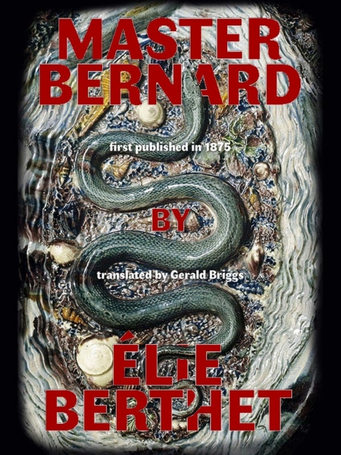 Cover image for book Master Bernard (Maitre Bernard)