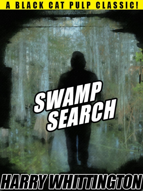 Cover image for book Swamp Search