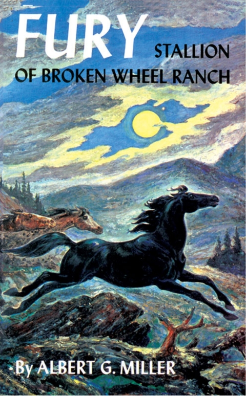 Cover image for book Fury: Stallion of Broken Wheel Ranch
