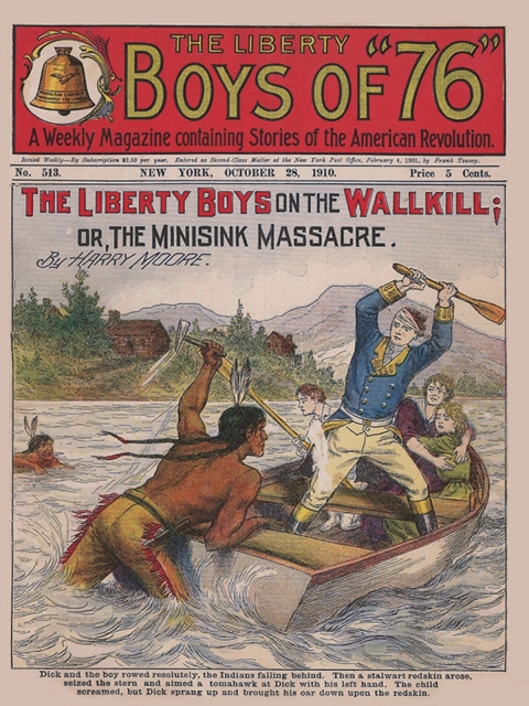 Cover image for book The Liberty Boys on the Wallkill