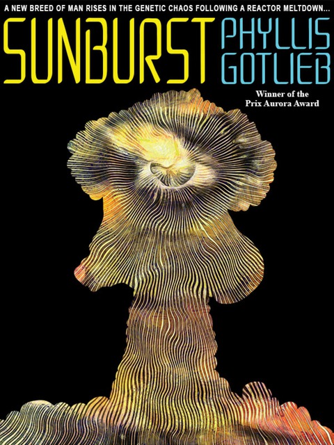 Cover image for book Sunburst