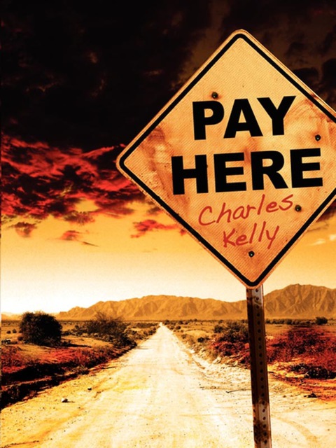 Cover image for book Pay Here