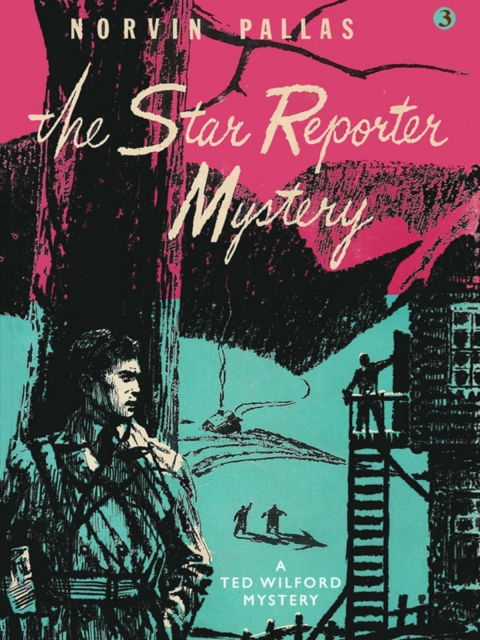 Cover image for book The Star Reporter Mystery