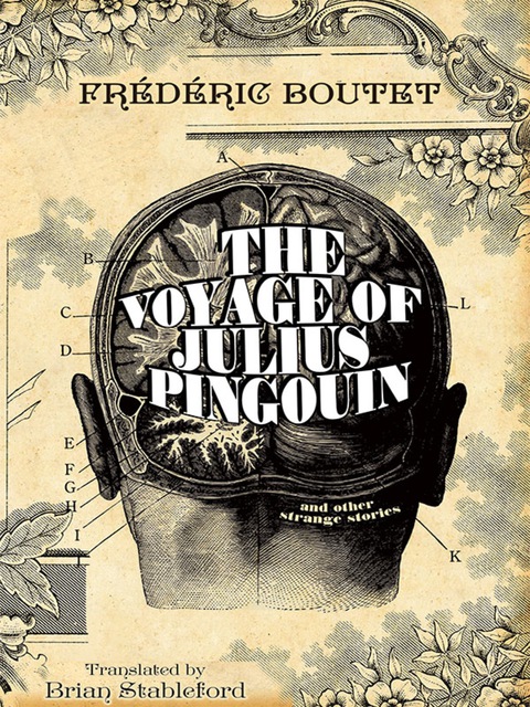 Cover image for book The Voyage of Julius Pingouin and Other Strange Stories
