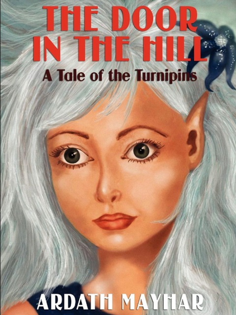 Cover image for book The Door in the Hill