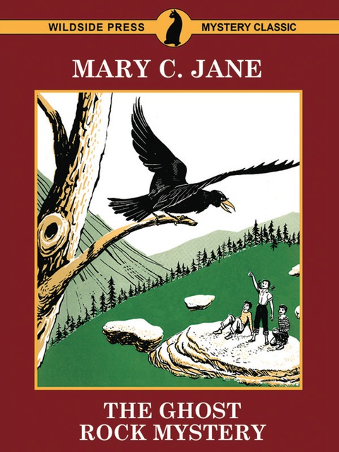 Cover image for book The Ghost Rock Mystery