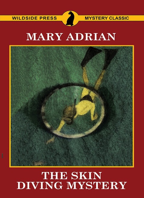 Cover image for book The Skin Diving Mystery