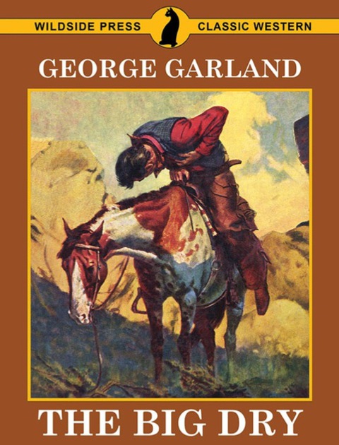 Cover image for book The Big Dry