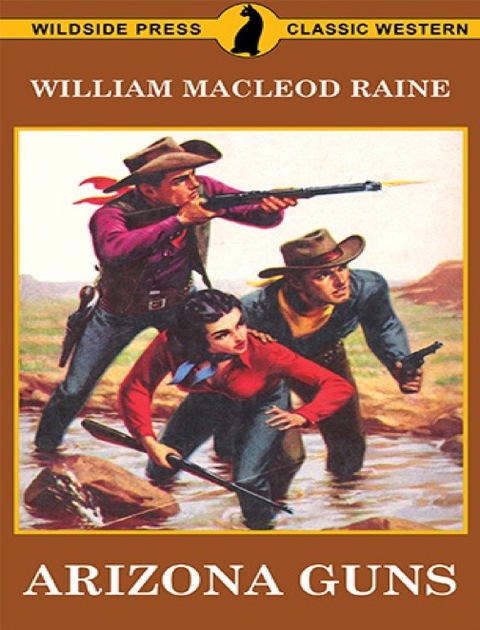 Cover image for book Arizona Guns