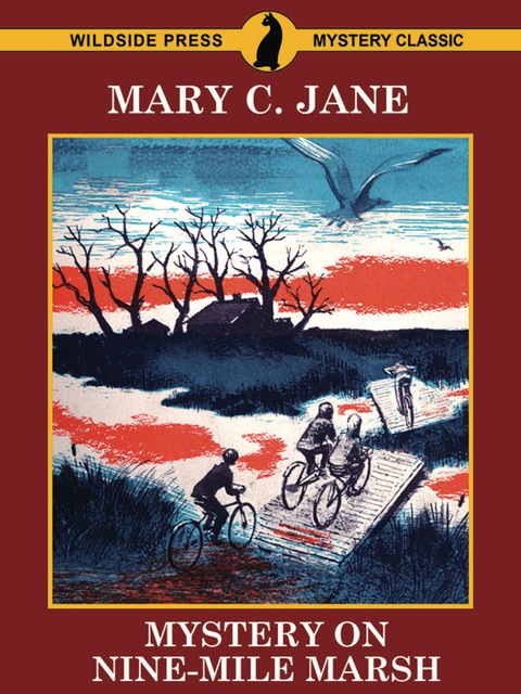 Cover image for book Mystery on Nine-Mile Marsh