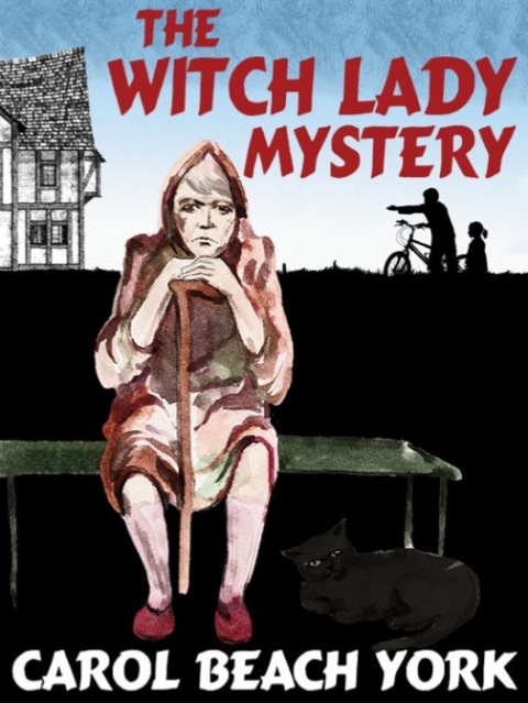 Cover image for book The Witch Lady Mystery