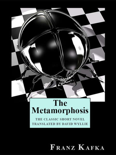 Cover image for book The Metamorphosis