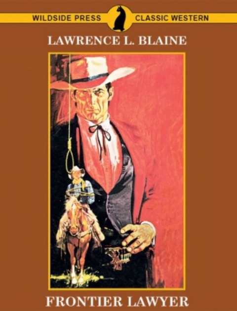 Cover image for book Frontier Lawyer