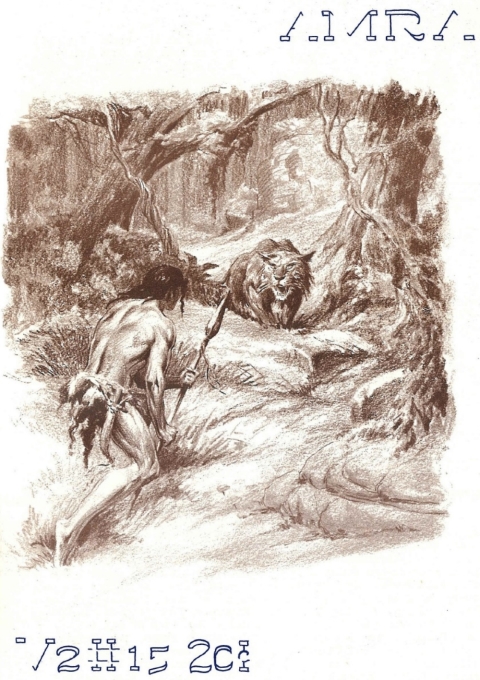 Cover image for book Amra, Vol 2, No 15