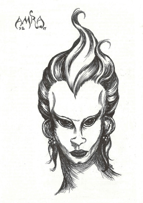 Cover image for book Amra, Vol 2, No 17