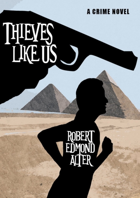 Cover image for book Thieves Like Us