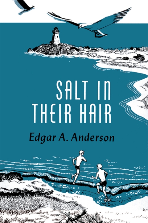 Cover image for book Salt in Their Hair
