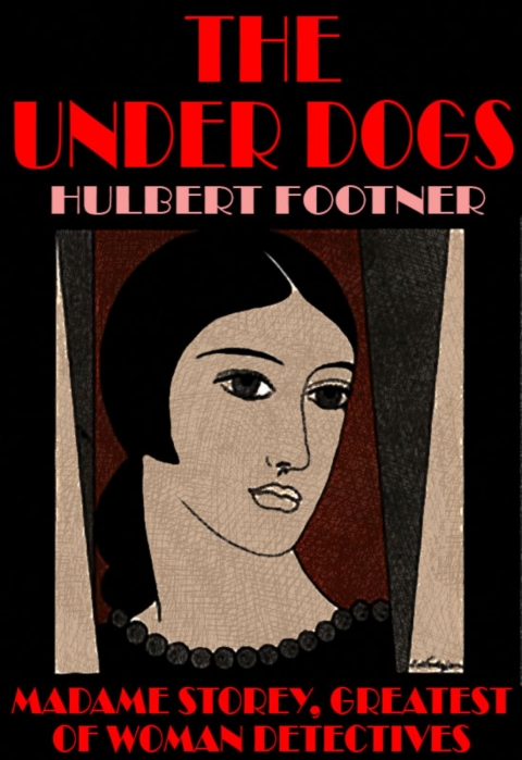 Cover image for book The Under Dogs