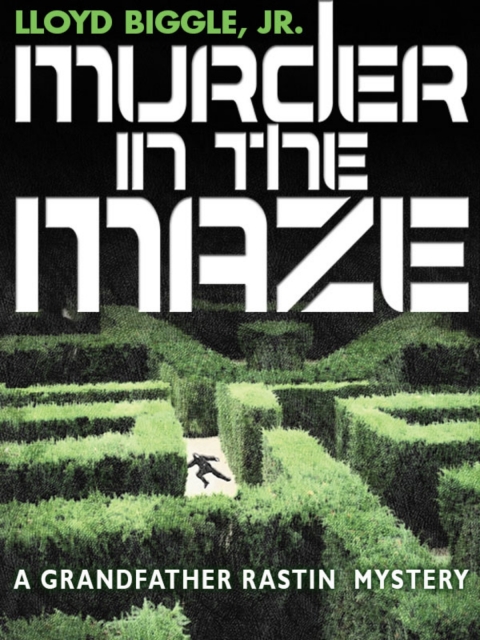 Cover image for book Murder in the Maze