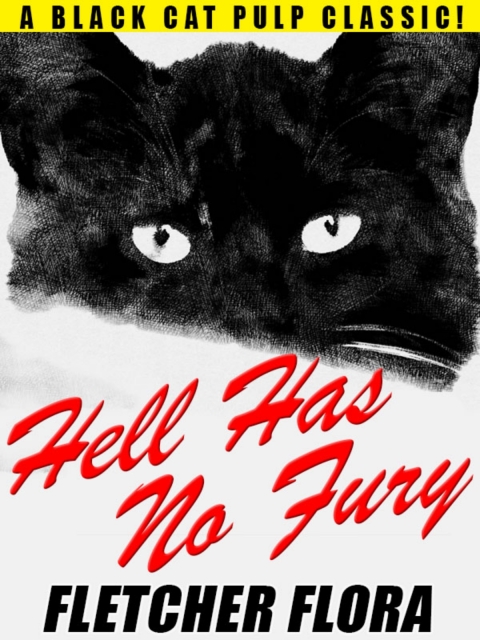 Cover image for book Hell Has No Fury