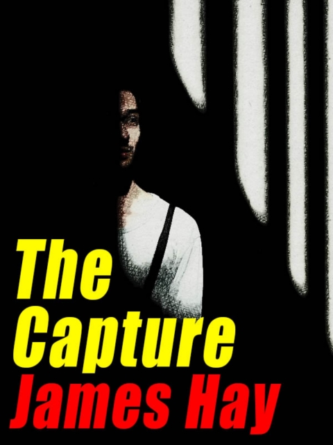 Cover image for book The Capture