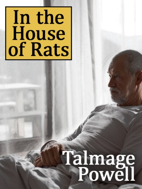 Cover image for book In the House of Rats