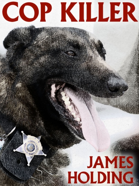 Cover image for book Cop Killer