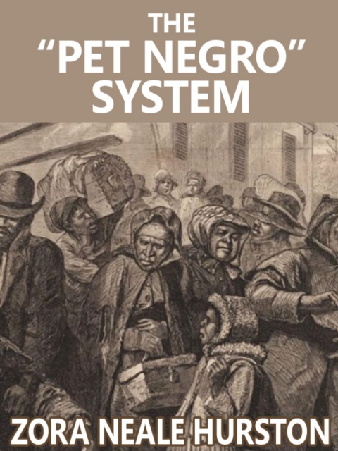 The \"Pet Negro\" system 