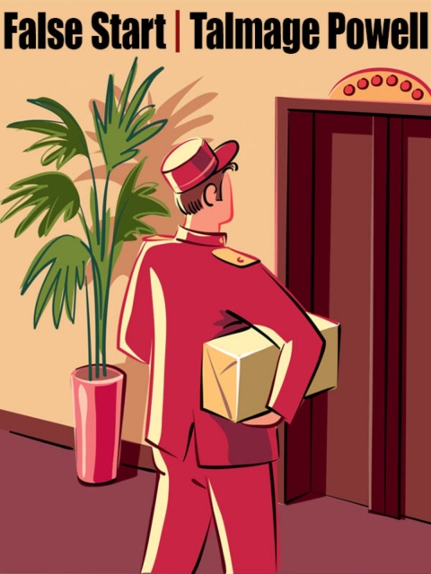 Cover image for book False Start