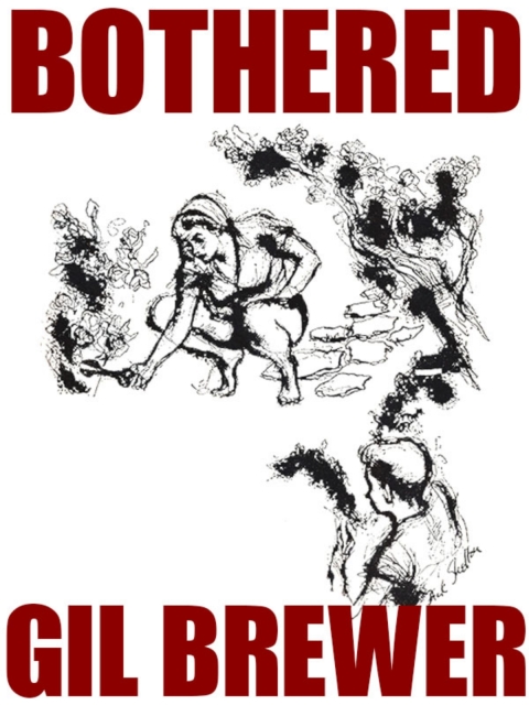 Cover image for book Bothered