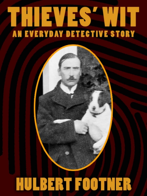 Cover image for book Thieves' Wit