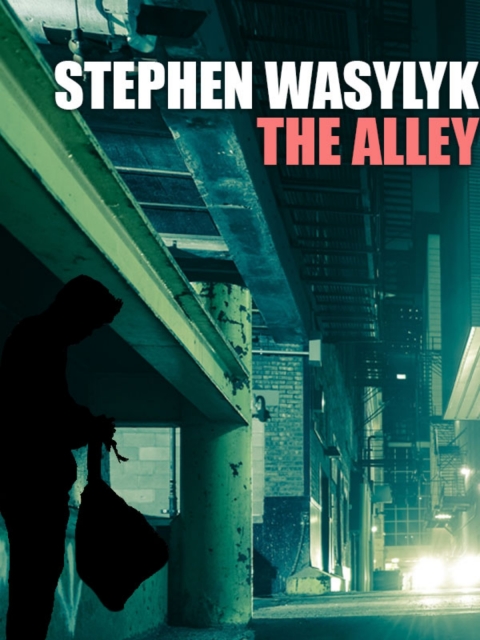 Cover image for book The Alley