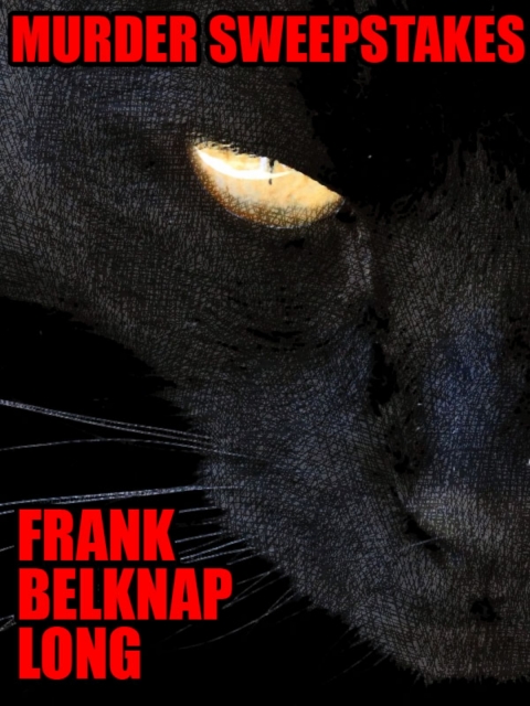 Cover image for book Murder Sweepstakes